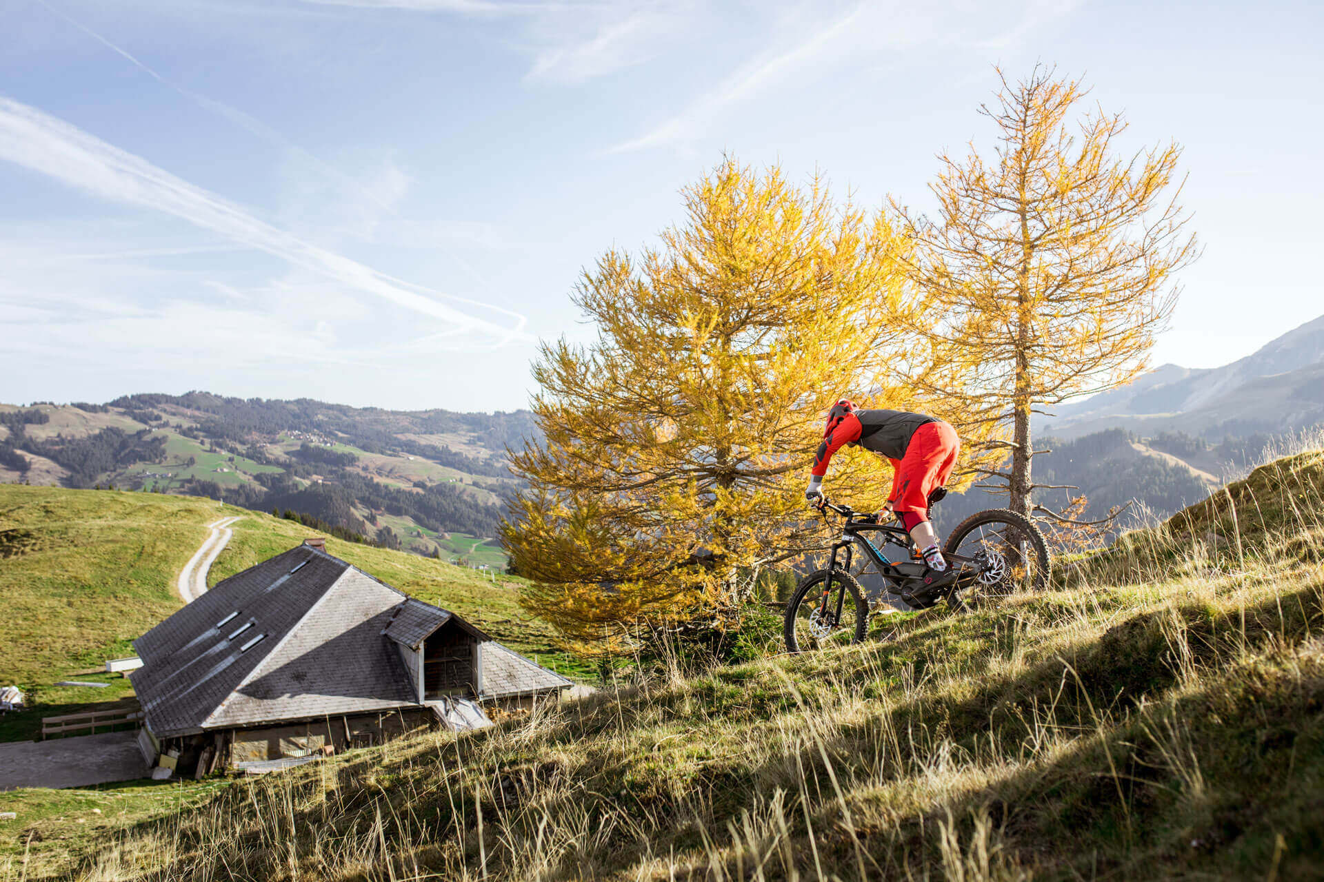 Mountain biking tours