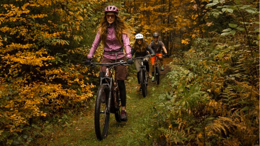 Top 10 - Bicycle tours