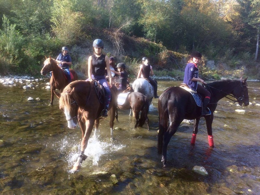 Reiten