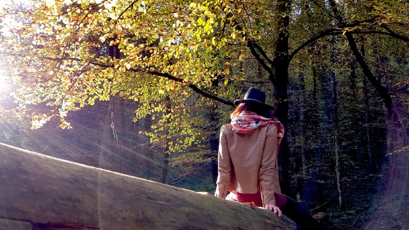 Thematic hiking trails