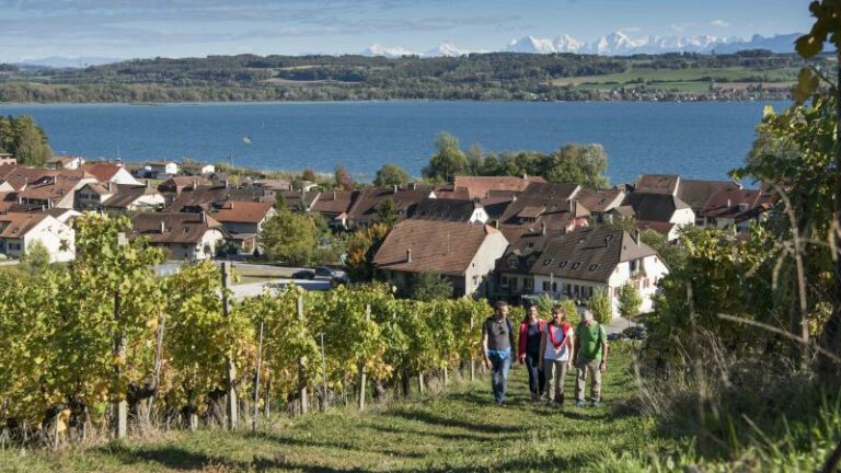 Visites guidées 
