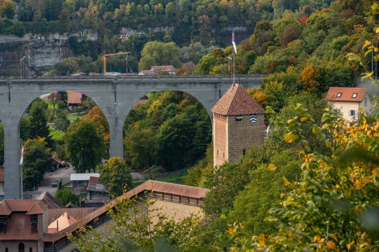 2025_PierreCuony_Shooting octobre (94)