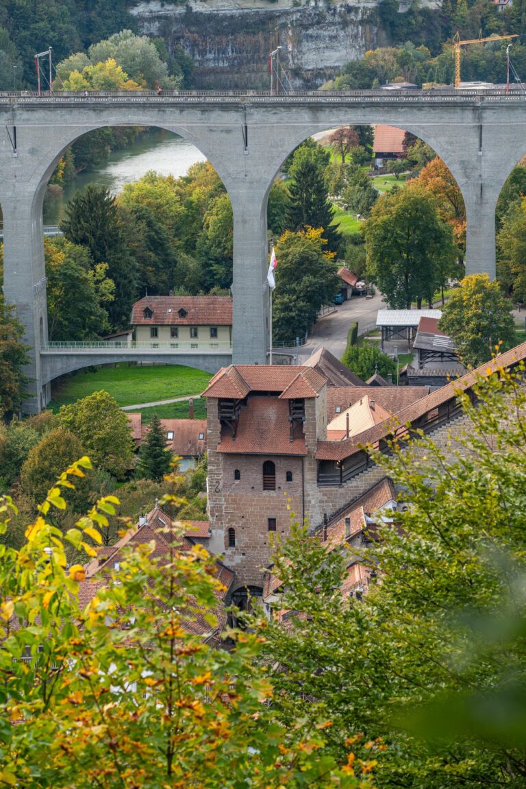 2025_PierreCuony_Shooting octobre (96)