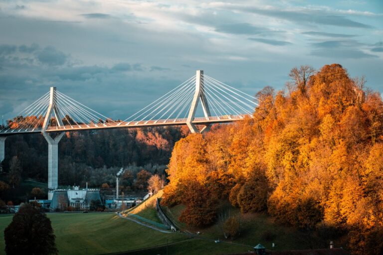 Pont de la Poya 2021