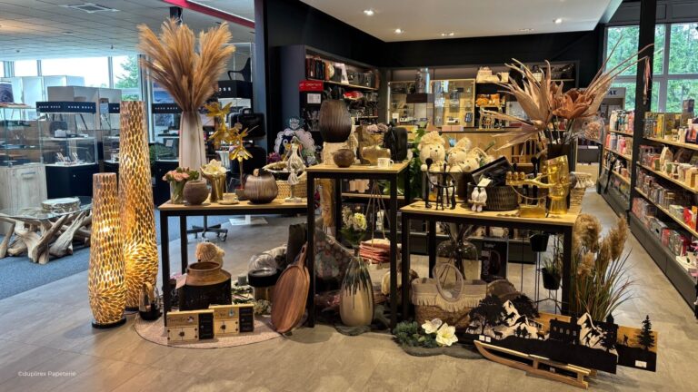 Duplirex Papeterie 1