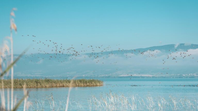 Estavayer-le-Lac _ Ref.ES_24.09.2021_152