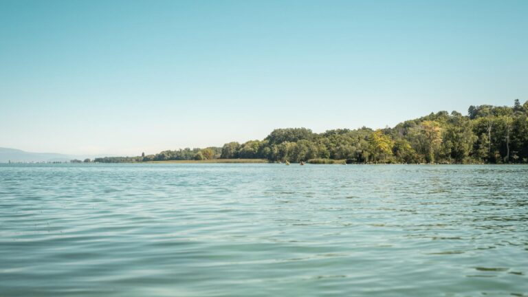 Estavayer-le-Lac_ Ref.ES_04.09.2020_065