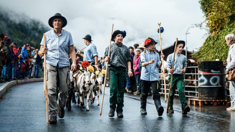 Jaun_Ref.GU_22.09.2025_001