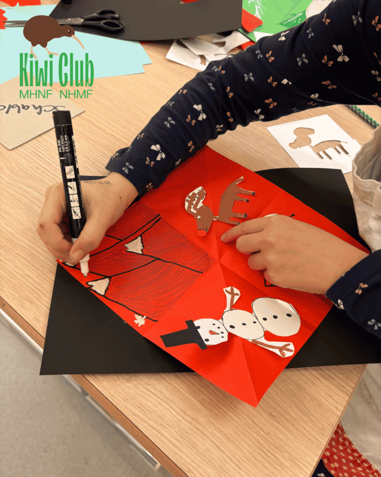 Kiwi Club lutins © MHNF-NHMF