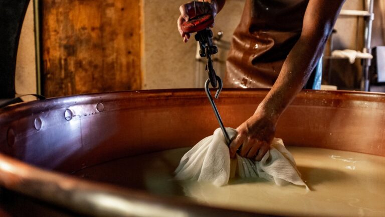 Démonstration à la fromagerie d’alpage