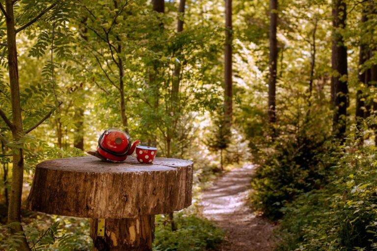 The Fairies Path