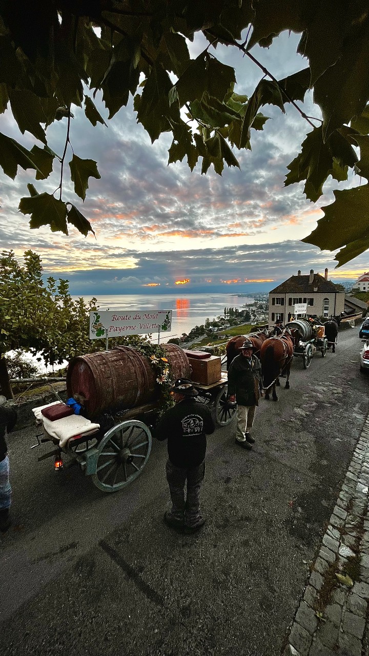 Marché d’automne et Route du Moût