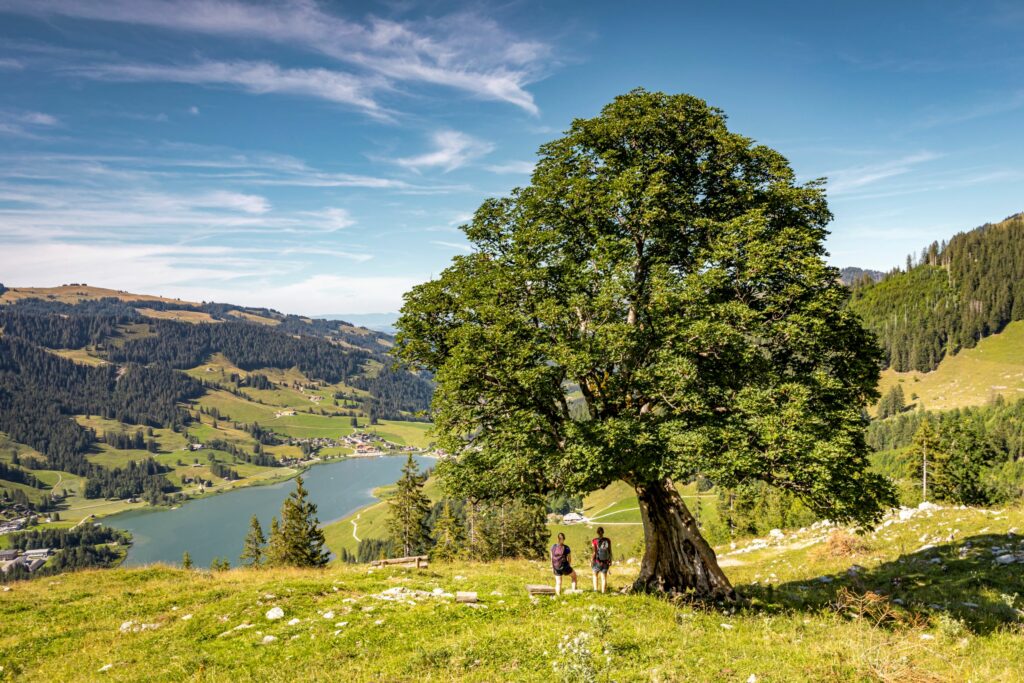 Ruhe vom hektischen Alltag gesucht? 🏔️🌞