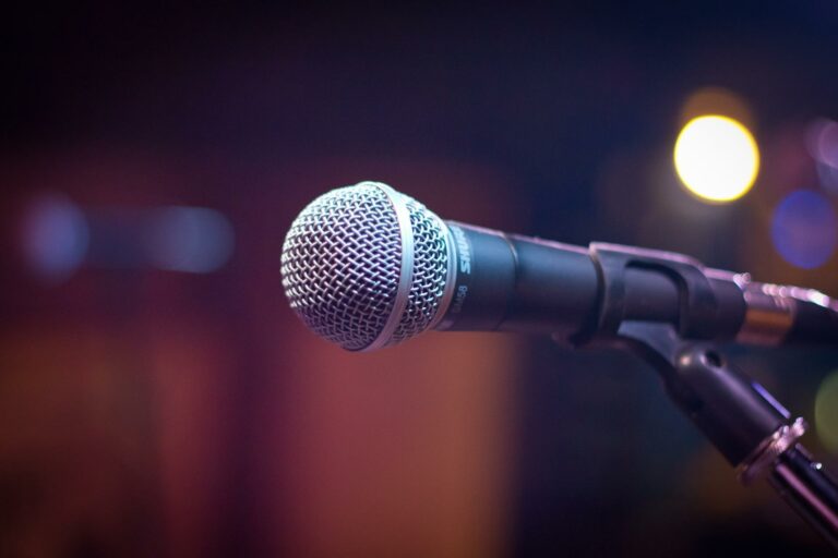 Music concert microphone