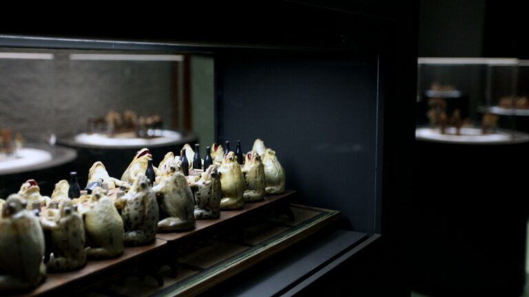 Museum of Estavayer-le-Lac and its frogs