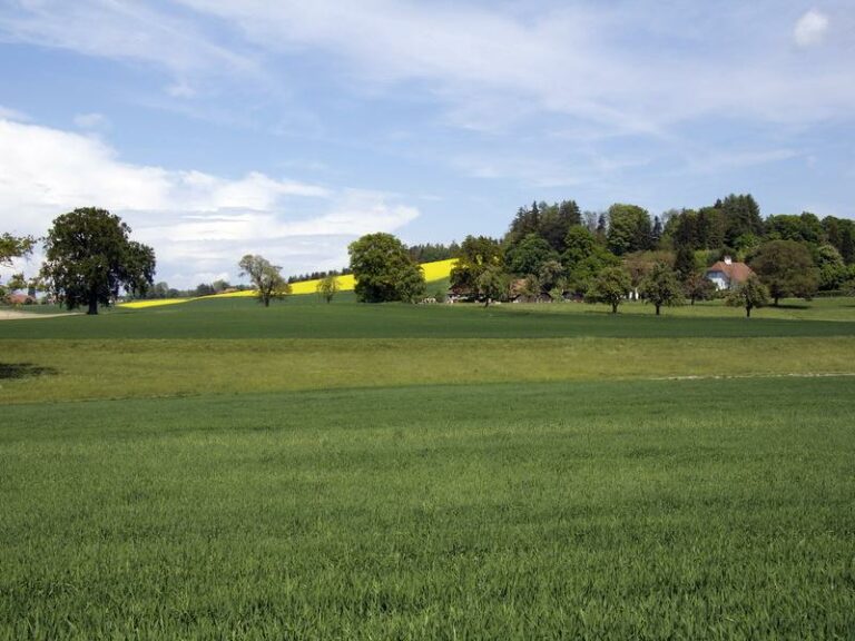 Pierrafortscha