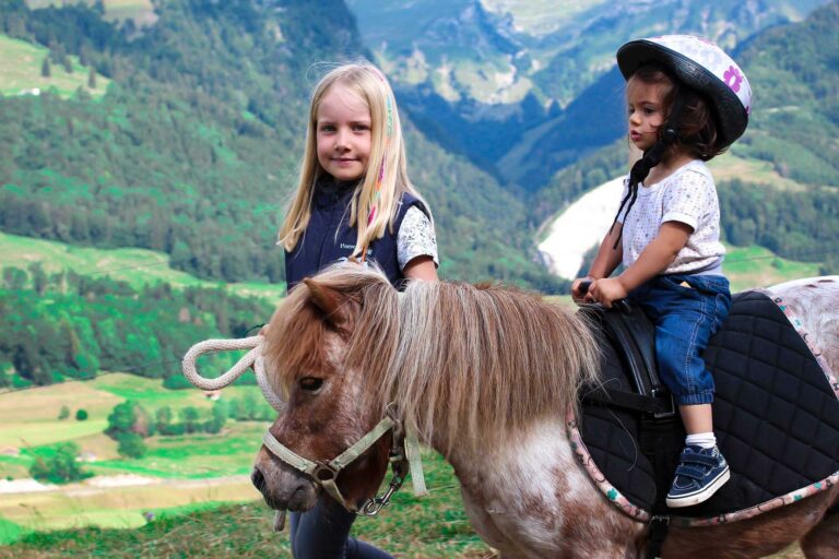 Hirondelles Lessoc balade poney