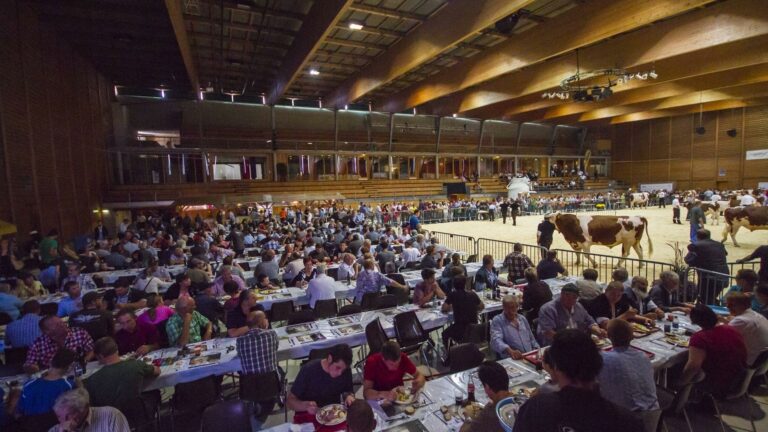 Marché-concours de taureaux à Bulle