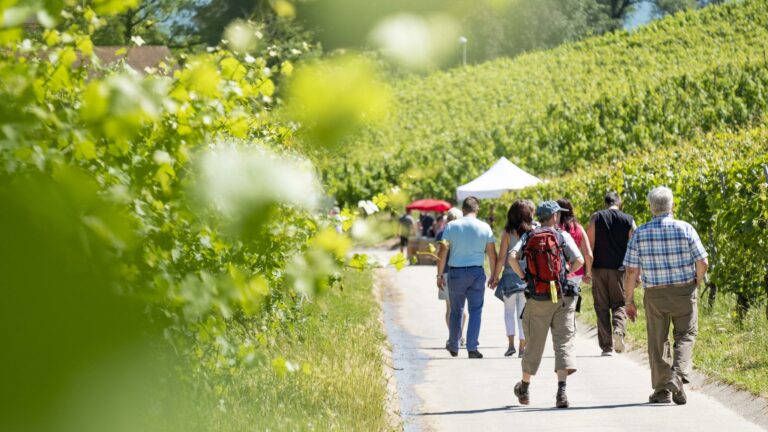 Samedi 26.06.2027 - Route Gourmande 