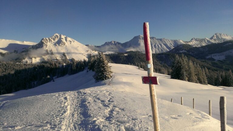 Snowschoeing 7