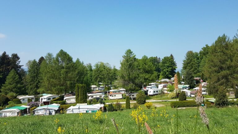 Camping Bivouac vue d’ensemble