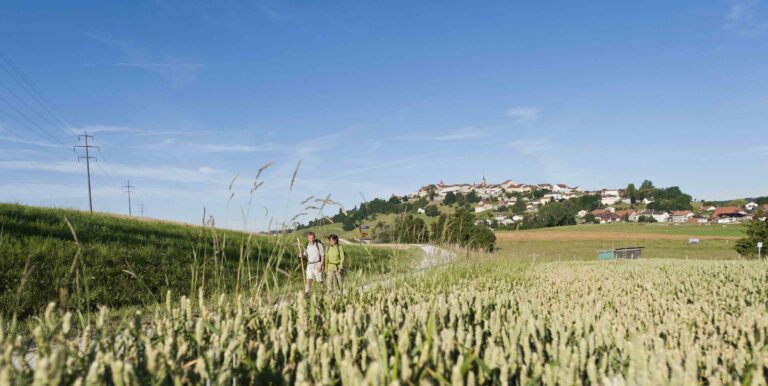 romont-27285-fbcde6e33125ad4d2f0c220d0d67336ec263d531_3000-768×386