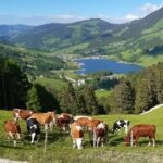 Fermeture du chemin de randonnée d'Ober Recardets à Unteri Rippa