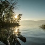 Balade sur les rives du lac de Neuchâtel, à Cheyres, entre lac et roseaux.