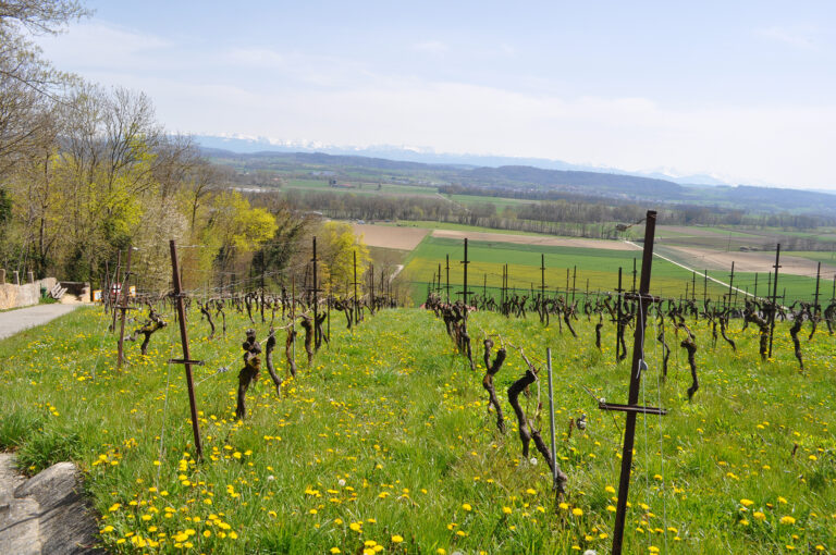 Sorties plein air 