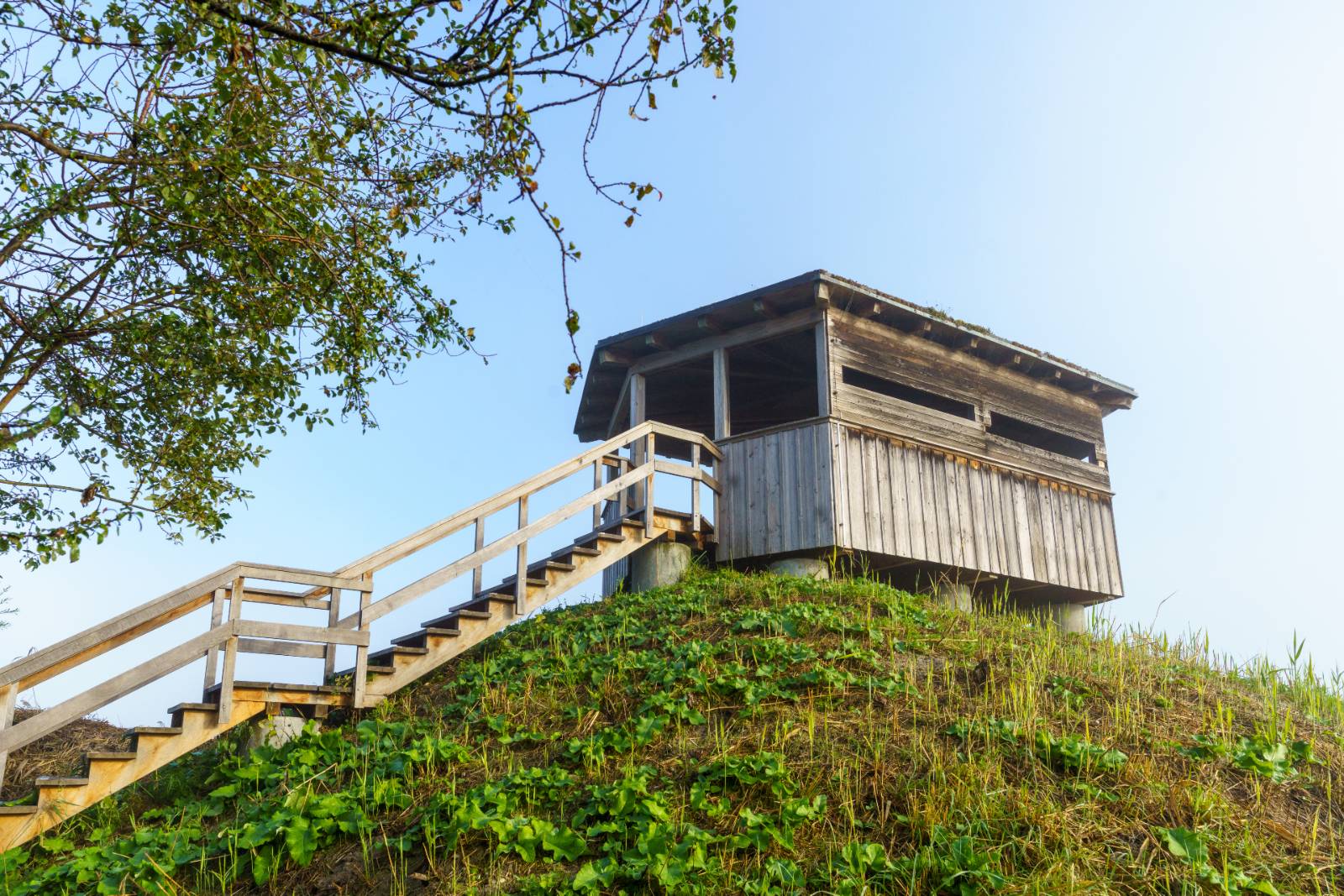 Observation towers