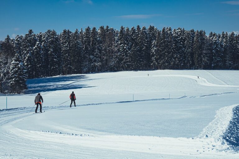 Ski de fond