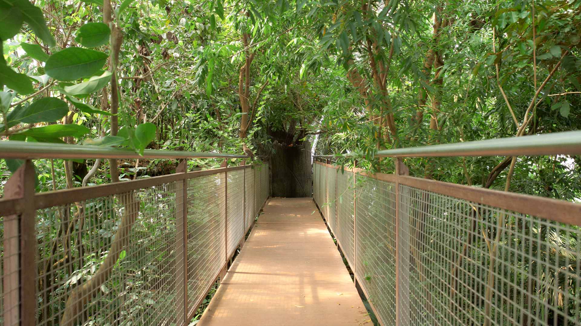 Papiliorama