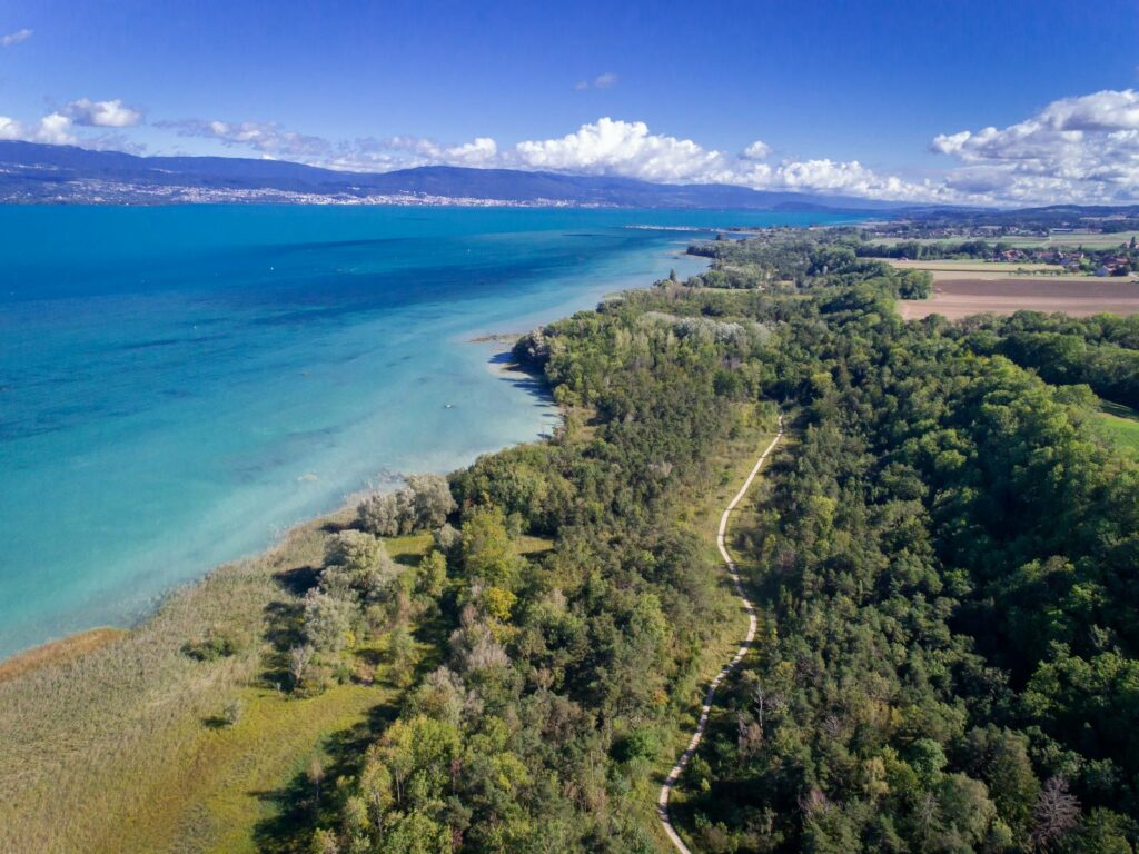 The Grande Cariçaie