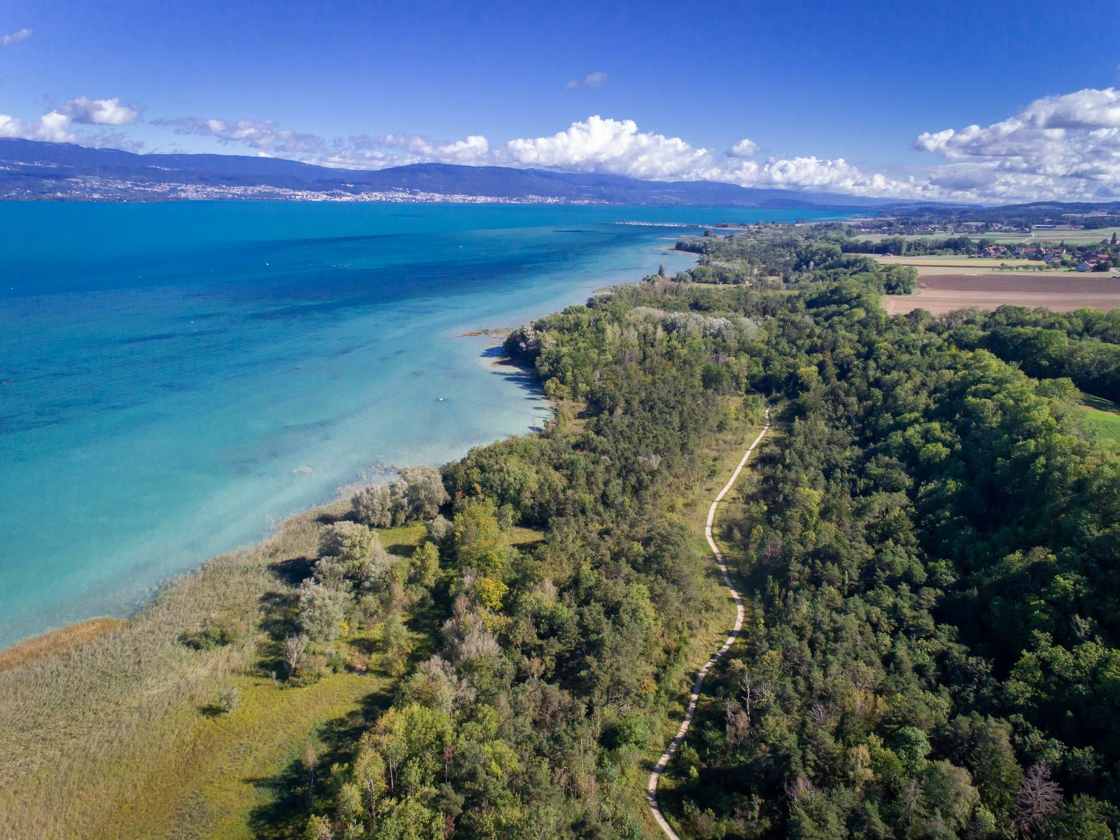 Réserve naturelle de la Grande Cariçaie