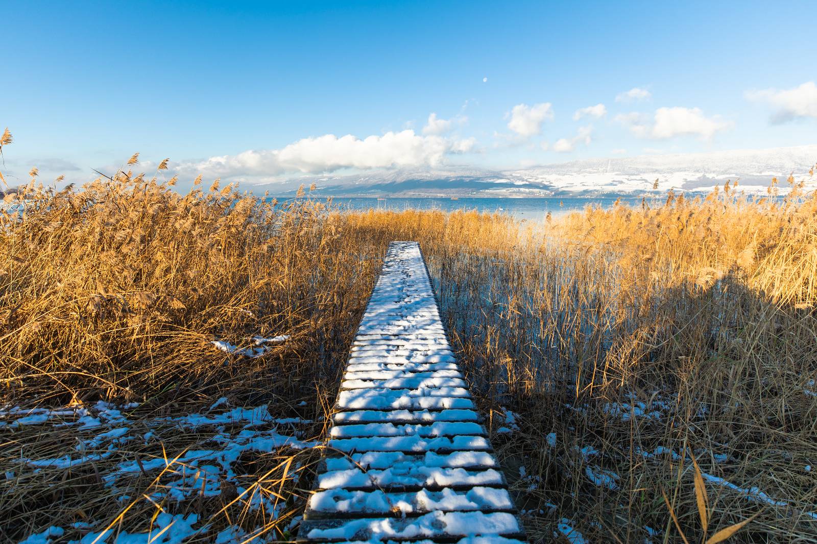 Ponton, hiver, Estavayer-le-Lac