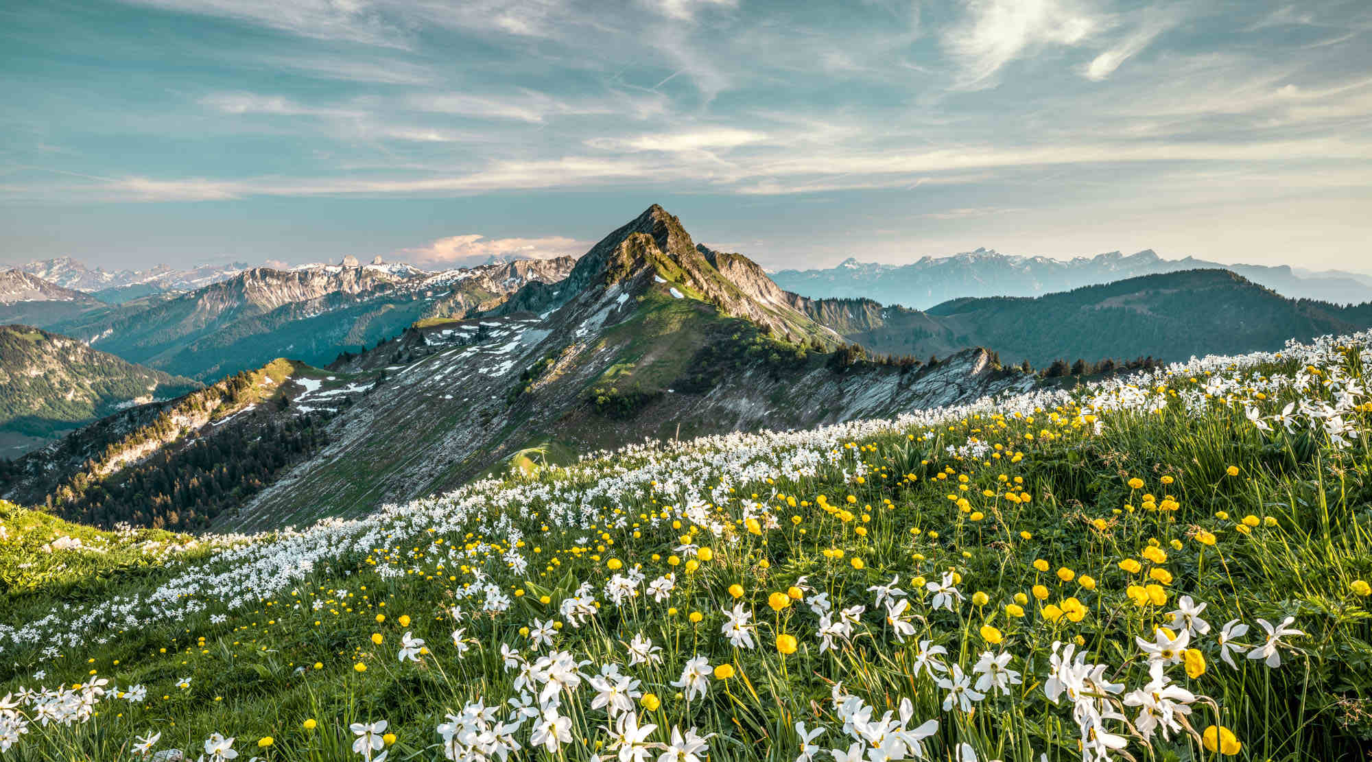 Es lebe der Frühling!