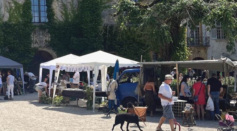 fieldnom_de_la_manifestation_1628654118948—-322