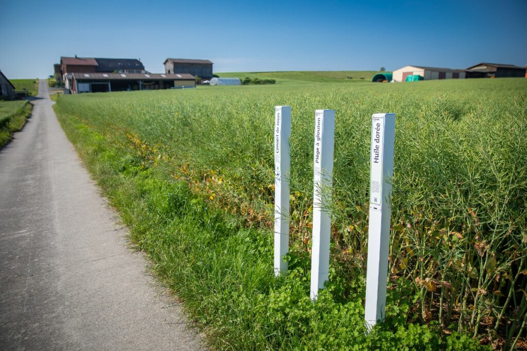 Sentier agricole