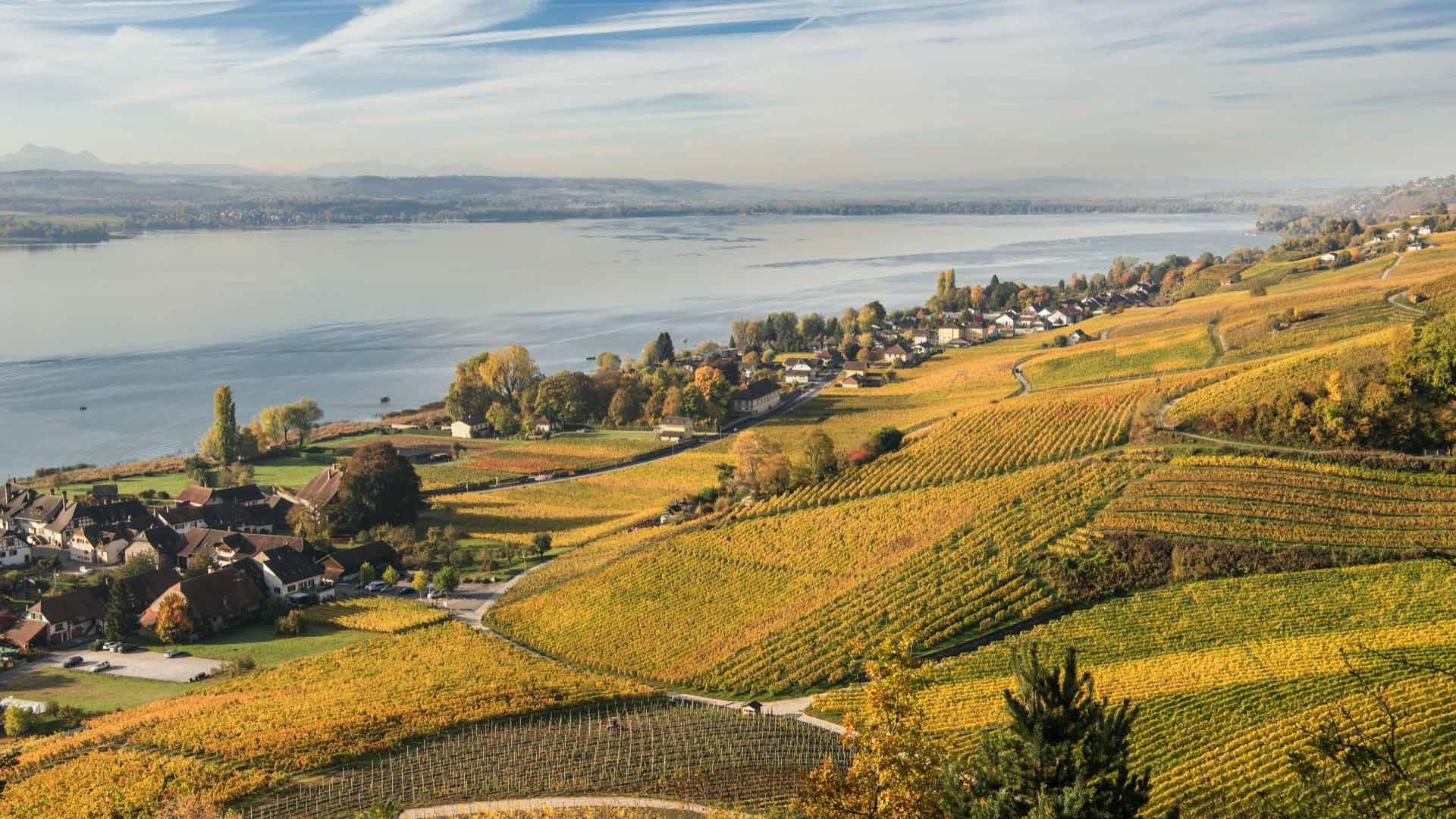 L'automne au cœur de la nature