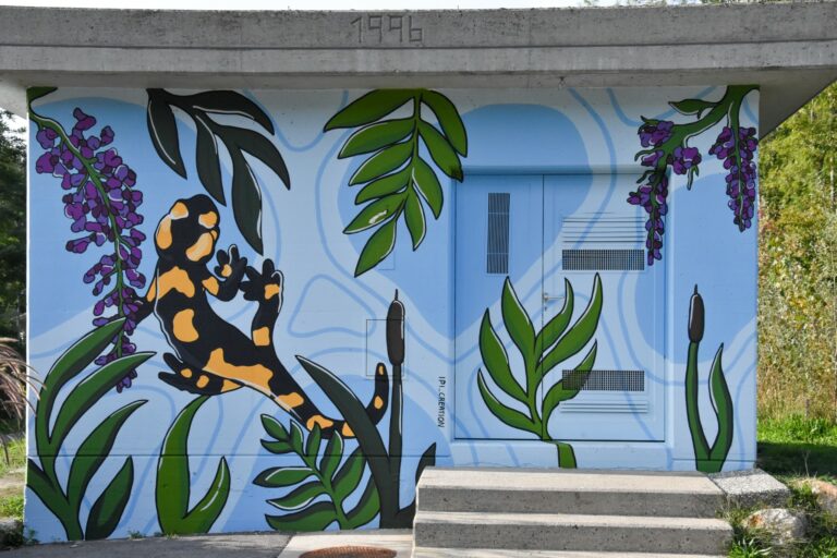 Animaux de la Grande Cariçaie-Cheyres