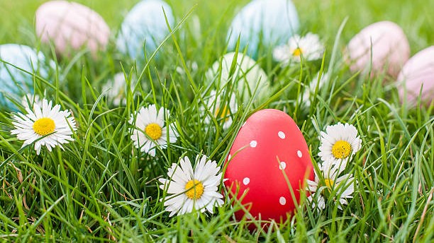 Red Easter egg in a nest of grass and spring flowers