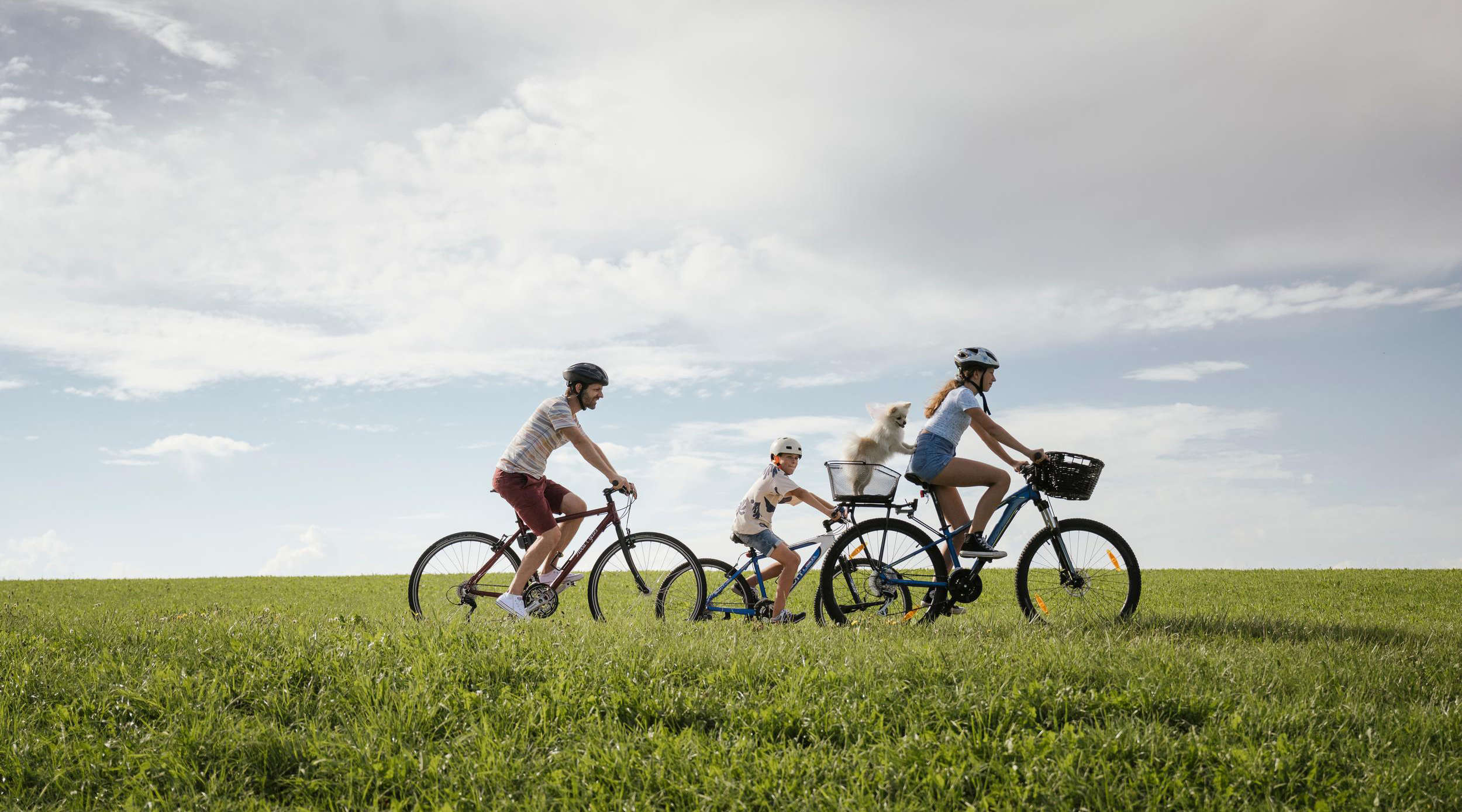 Velo, Mountainbike & E-Bike