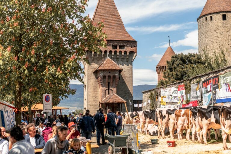La Ferme en Ville-Estavayer