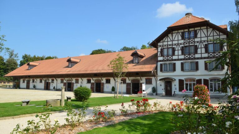 Le Haras National Suisse, capitale du cheval au Quotidien