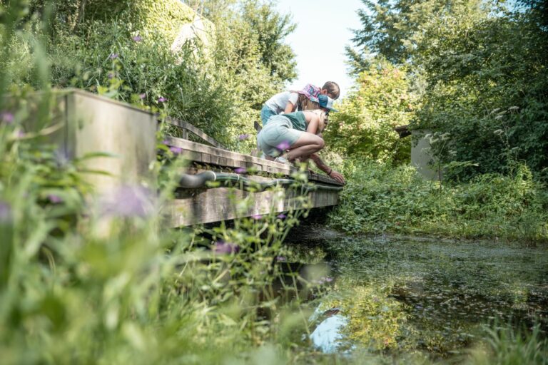 Ça grouille dans la mare !