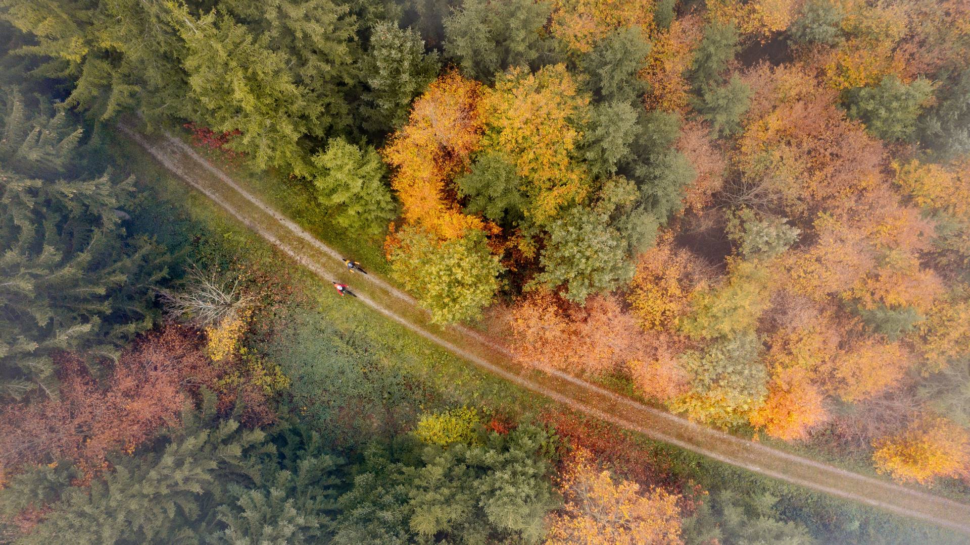 L'automne dans notre région