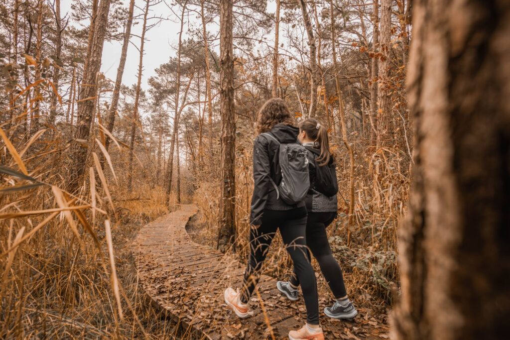 Sentier didactique-Chevroux