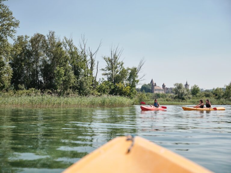 Canoeing in the Grande Cariçaie