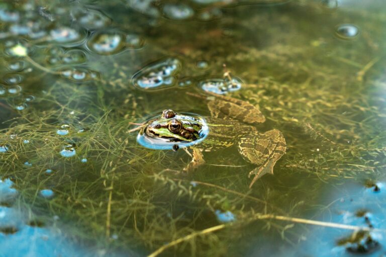 Le Marais, la nuit !