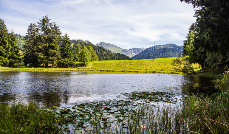 Lac-Joncs_2015_©creationphoto-3-1
